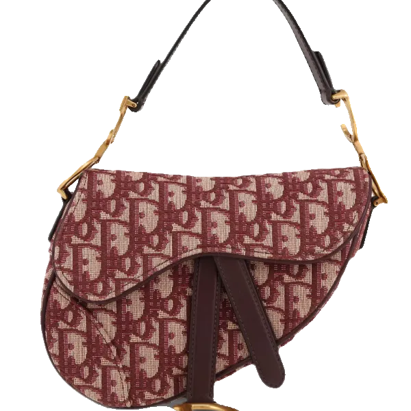 Dior Saddle in tela