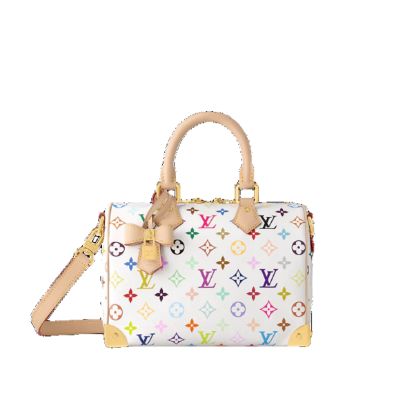 LV Pre-Owned X Takashi Murakami Speedy Tote Bag