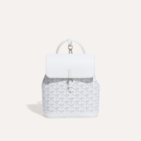 GOYARD Alpin